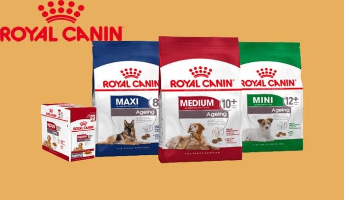 Tìm hiểu về Thức ăn chó Royal Canin - Sự lựa chọn tuyệt vời cho chú cún của bạn