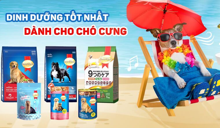 Thức ăn hạt cho chó Smartheart: Tất tần tật thông tin cần biết