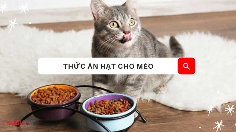 Thức ăn hạt cho mèo tốt nhất - Hướng dẫn chọn lựa và các yếu tố cần được lưu ý