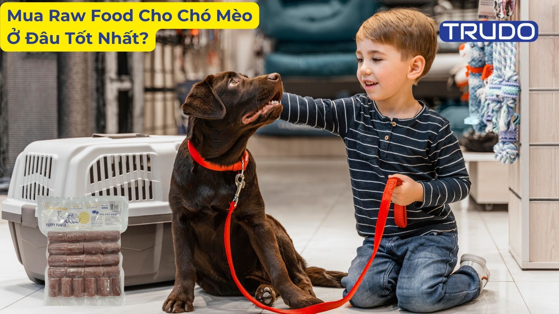 Thực đơn thức ăn raw cho mèo - Cách chuẩn bị thức ăn và lợi ích của chúng