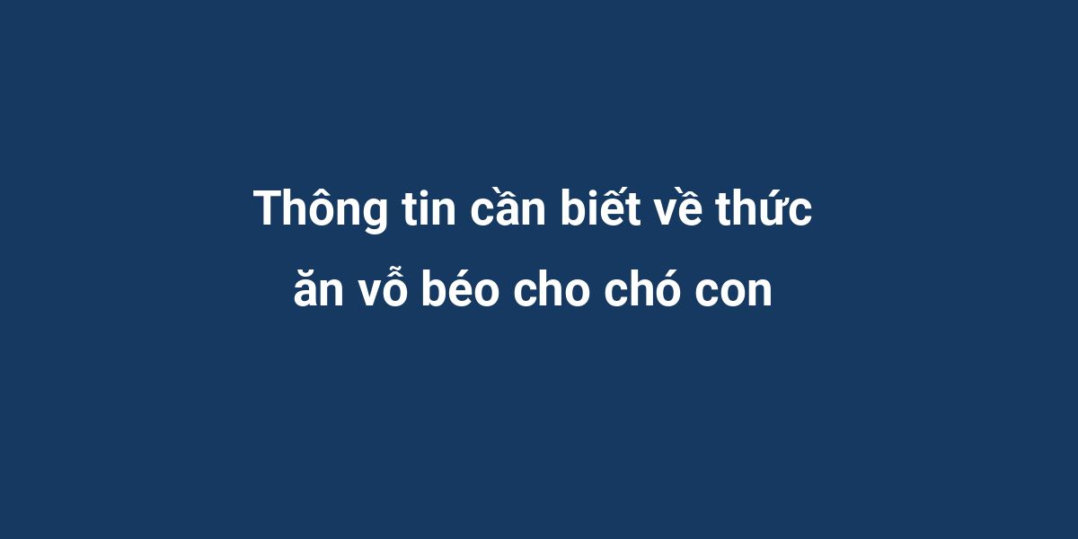 Thông tin cần biết về thức ăn vỗ béo cho chó con