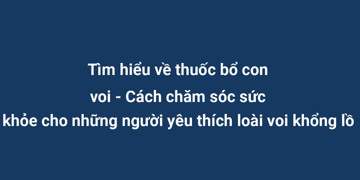 Tìm hiểu về thuốc bổ con voi - Cách chăm sóc sức khỏe cho những người yêu thích loài voi khổng lồ