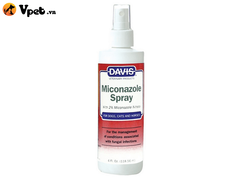 Thuốc trị nấm cho chó mèo dạng xịt Davis Chlorhexidine                               