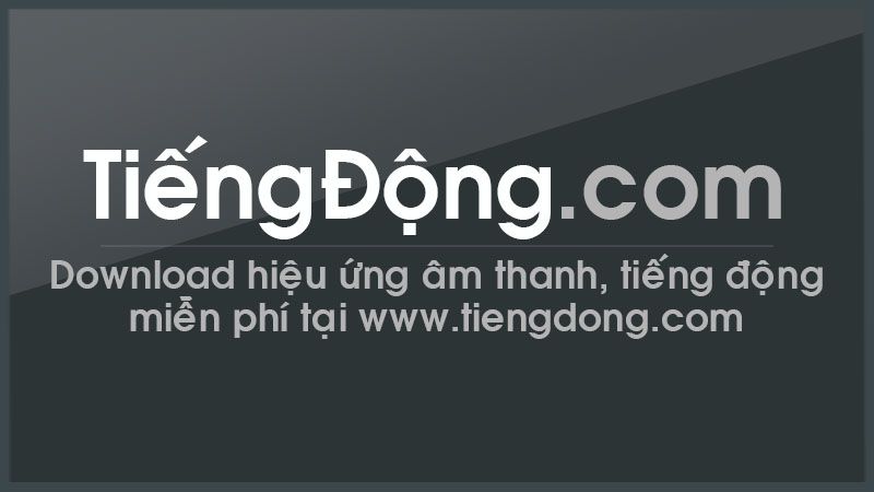 Tiếng mèo mẹ gọi con - Tình cảm thiêng liêng trong thế giới mèo