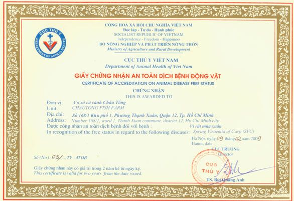 Tìm hiểu về Trại cá giống Quận 12 - Nguồn cung cấp cá giống chất lượng