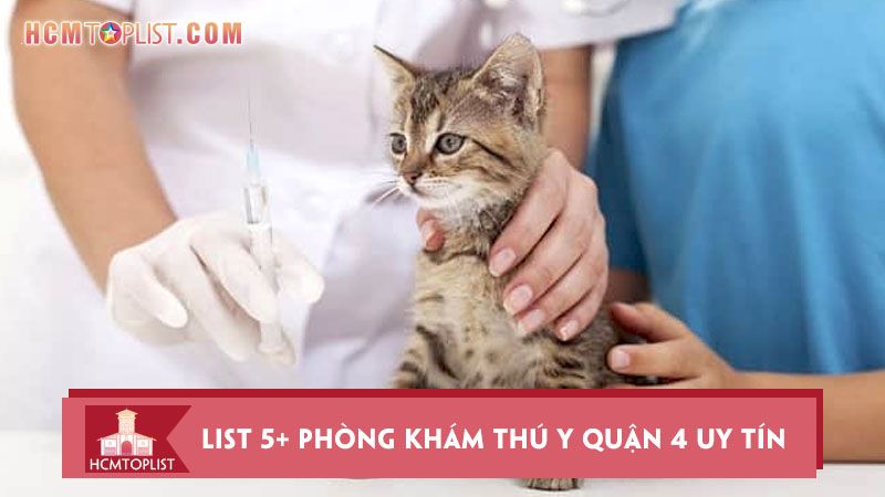 Thông tin mới nhất về trạm thú y quận 4 - Địa chỉ, giờ làm việc và dịch vụ chăm sóc thú cưng