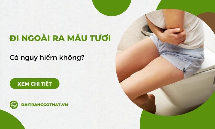 Trẻ đi cầu ra máu tươi - Nguyên nhân, triệu chứng và cách xử lý