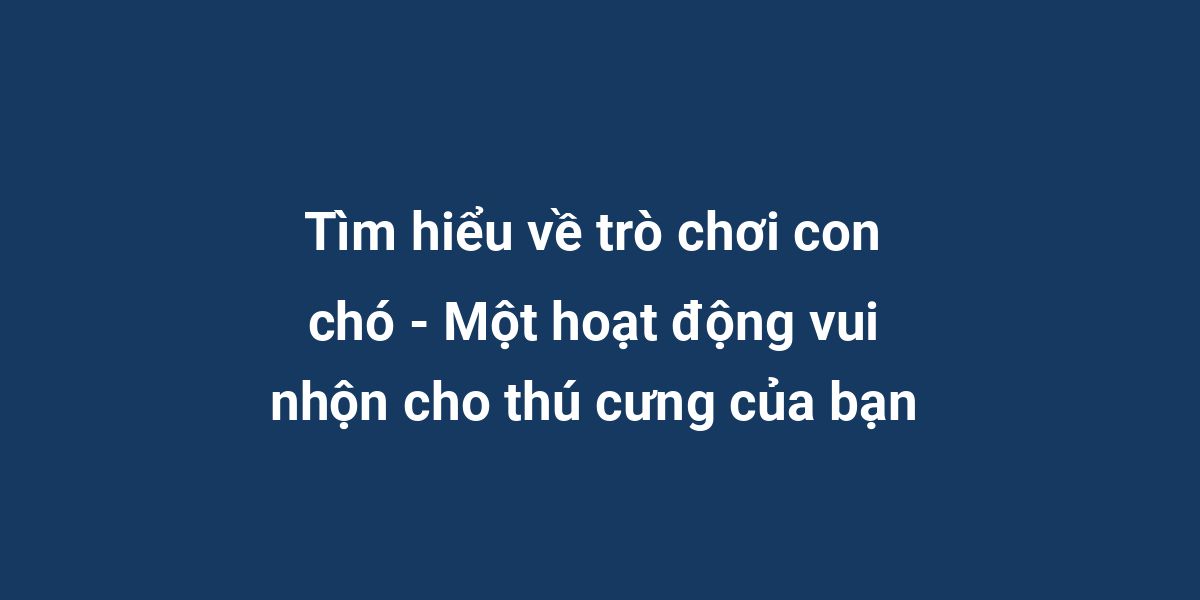 Tìm hiểu về trò chơi con chó - Một hoạt động vui nhộn cho thú cưng của bạn