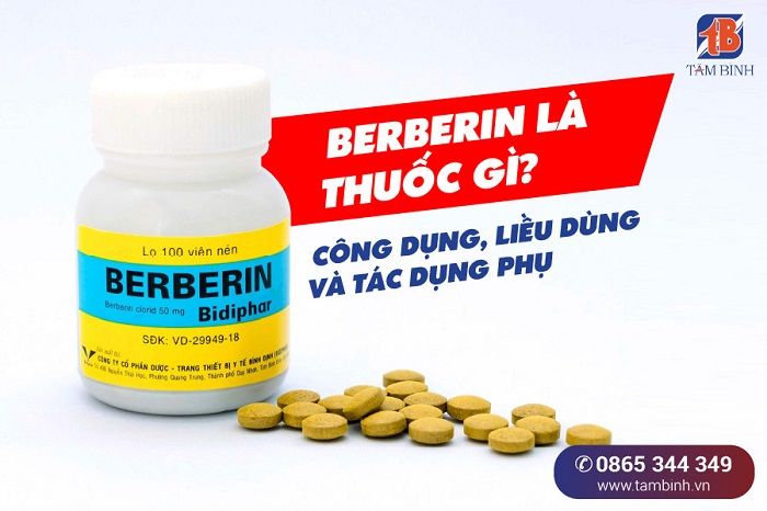 Uống berberin có tốt không? Tìm hiểu thêm về lợi ích của việc sử dụng berberine