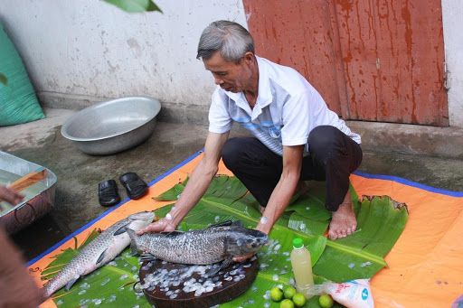 Tìm hiểu đầy đủ về vảy cá chép - Tập đoàn Sinh học Thế giới