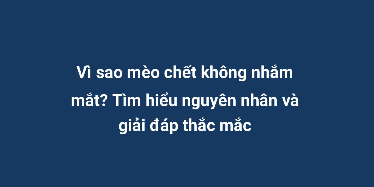 Vì sao mèo chết không nhắm mắt? Tìm hiểu nguyên nhân và giải đáp thắc mắc