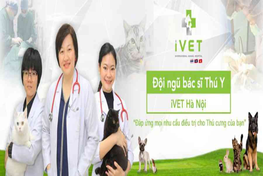 Viện Thú Y 86 Trường Chinh - Dịch vụ chăm sóc sức khỏe động vật chuyên nghiệp