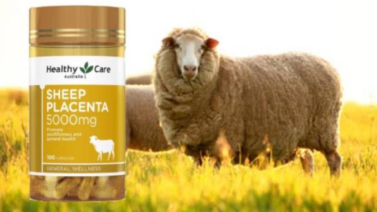 Viên uống nhau thai cừu úc - Tác dụng và lợi ích cho sức khỏe