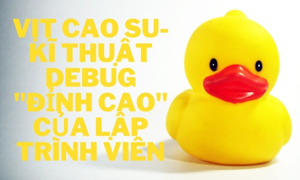 Tìm hiểu về vịt cao su - Loài chim cảnh lý tưởng cho gia đình