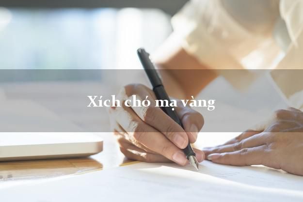 Tìm hiểu về xích chó mạ vàng – sản phẩm sang trọng cho thú cưng của bạn