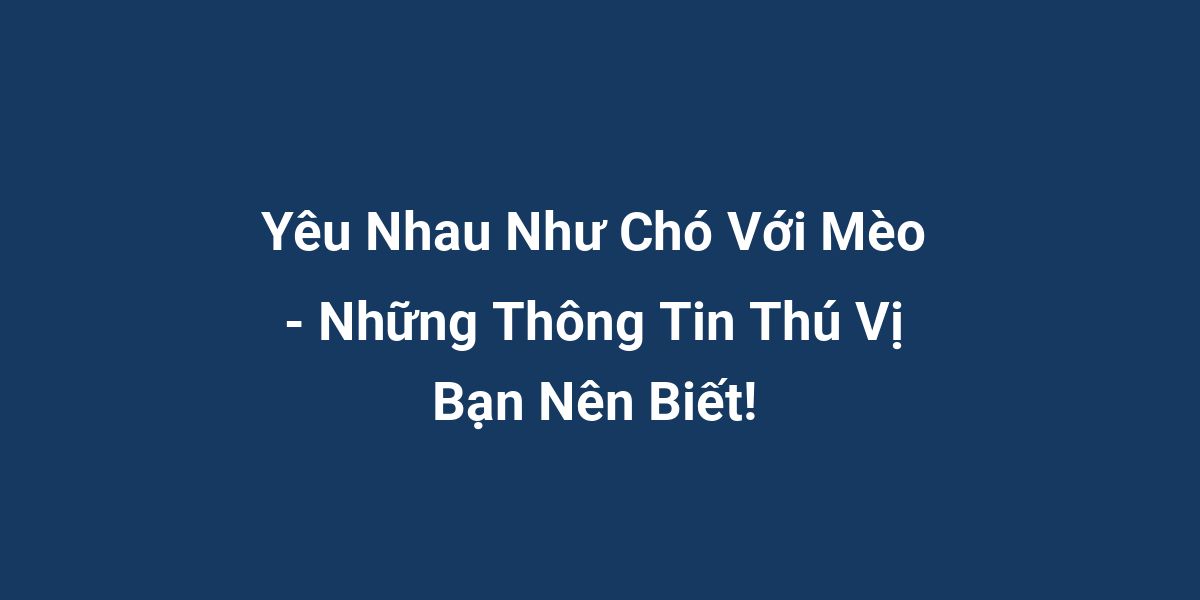 Yêu Nhau Như Chó Với Mèo - Những Thông Tin Thú Vị Bạn Nên Biết!