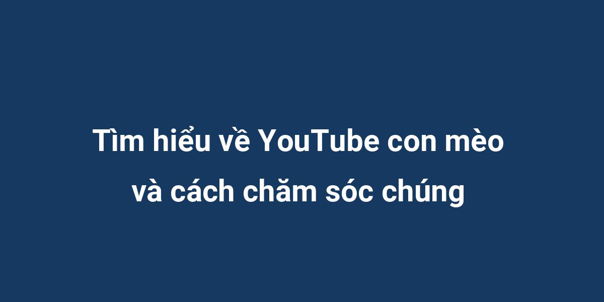 Tìm hiểu về YouTube con mèo và cách chăm sóc chúng