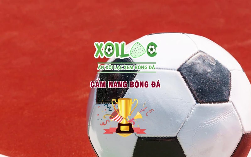 Bỏ túi cẩm nang cá cược tại Xoilac - bước đệm để đổi đời