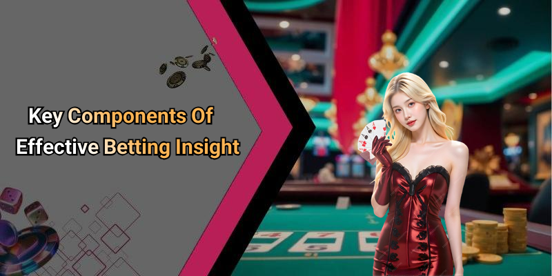 Key Components Of Effective Betting Insight